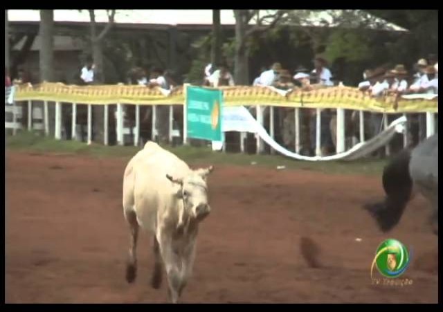 23ª Fecars »  Seleção Peão »  26ª RT  »  1ª volta