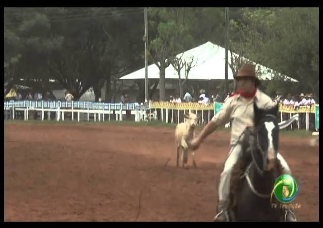 23ª Fecars »  Seleção Peão »  16ª RT  »  1ª volta