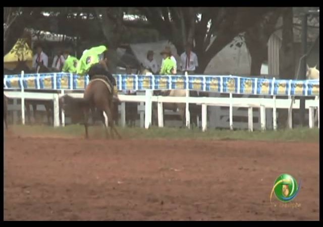 23ª Fecars »  Seleção Peão »  15ª RT  »  1ª volta