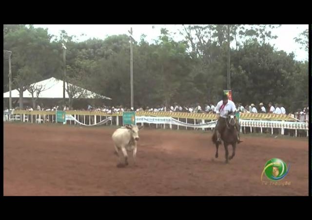 23ª Fecars »  Seleção Peão »  12ª RT  »  1ª volta