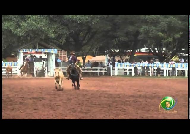 23ª Fecars »  Seleção Peão »  11ª RT  »  1ª volta