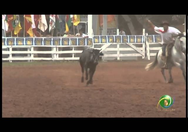 23ª Fecars »  Seleção Peão »  6ª RT  »  1ª volta