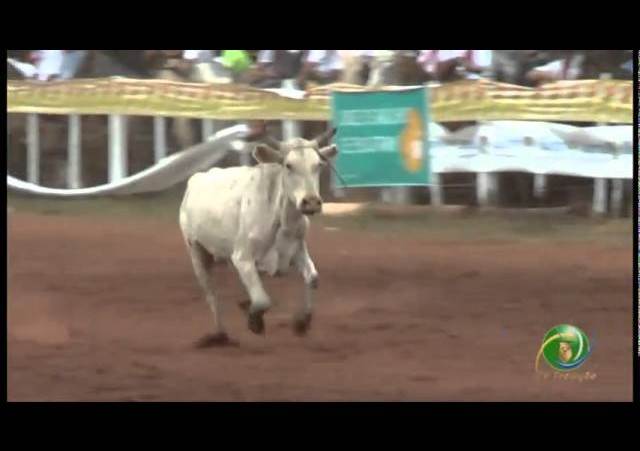 23ª Fecars »  Seleção Peão »  2ª RT  »  1ª volta