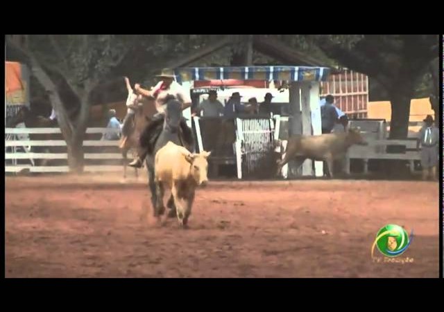 23ª Fecars »  Seleção Peão »  28ª RT » 2ª volta