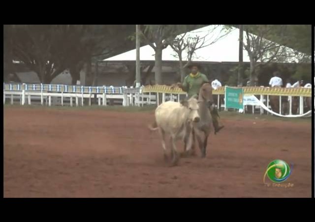 23ª Fecars »  Seleção Peão »  21ª RT »  2ª volta