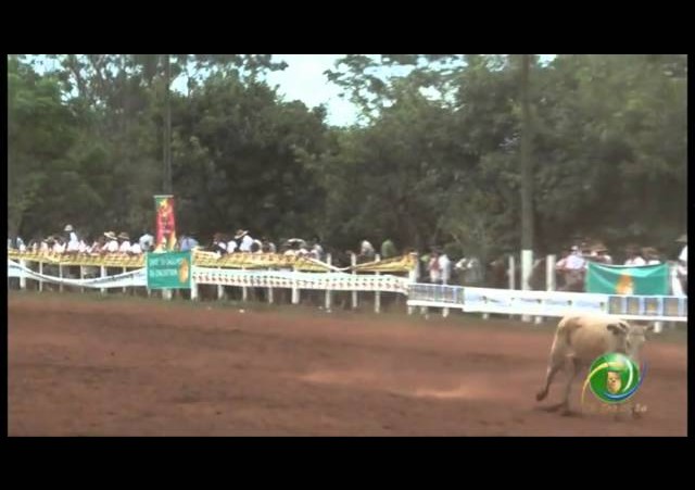 23ª Fecars »  Seleção Peão »  16ª RT  »  2ª volta