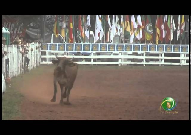 23º Fecars  »  Seleção Peão  »  11ª RT  »  2ª volta