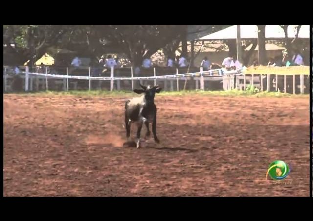 23º Fecars  »  Seleção Peão  »  1ª RT  »  3ª volta