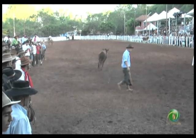 23ª Fecars »  Pealo Borcado  »  17ª RT