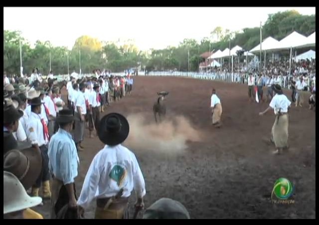 23ª Fecars »  Pealo Borcado  »  14ª RT