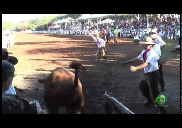 23º Fecars  »  Pealo Paleta  »  3ª RT