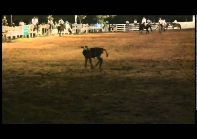 23º Fecars  »  Cura de Terneiro  »  15ª RT