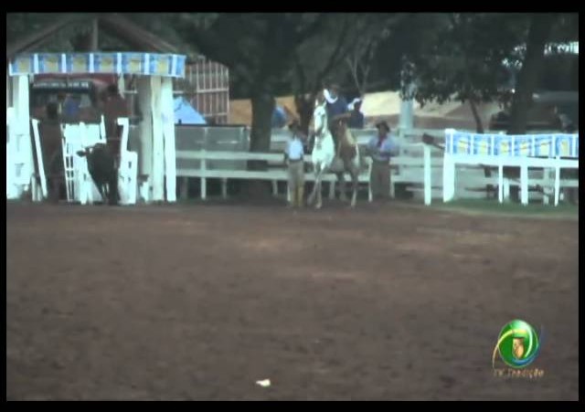 23ª Fecars »  Laço Conselheiro »  10ª RT