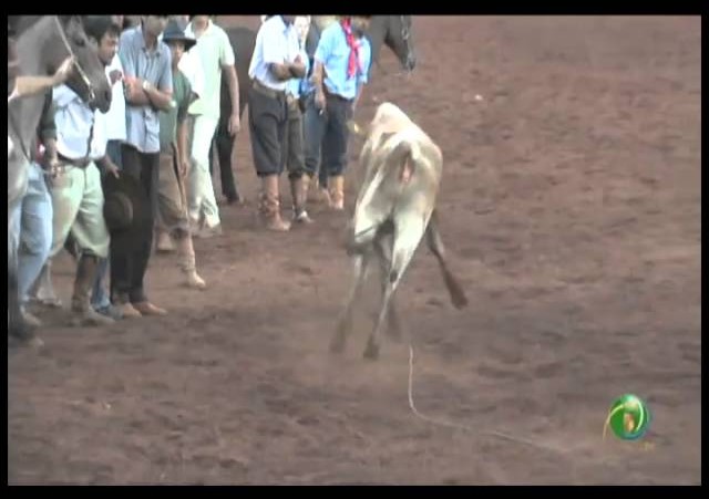 23ª Fecars »  Pealo Borcado  »  6ª RT