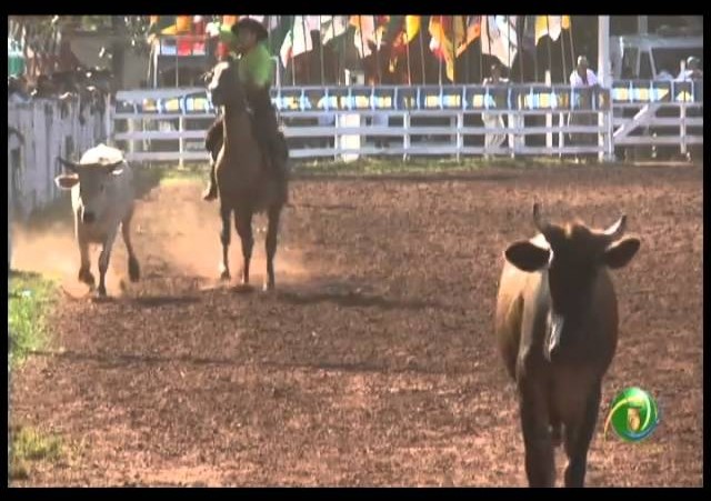 23ª Fecars »  Seleção Peão »  15ª RT  »  3ª volta