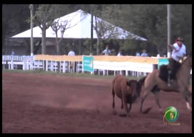 23ª Fecars »  Laço Executivos Municipais »  29ª RT