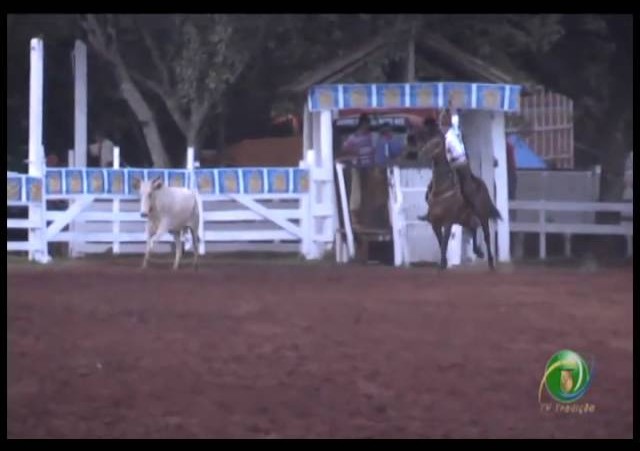 23ª Fecars »  Laço Executivos Municipais »  8ª RT