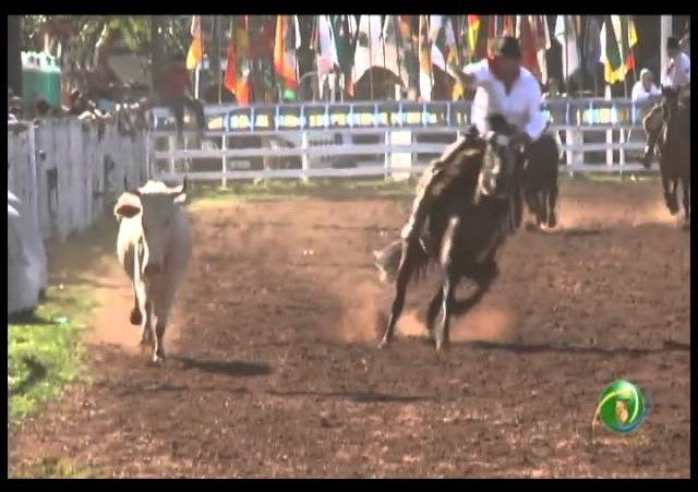 23ª Fecars »  Seleção Peão »  12ª RT  »  3ª volta