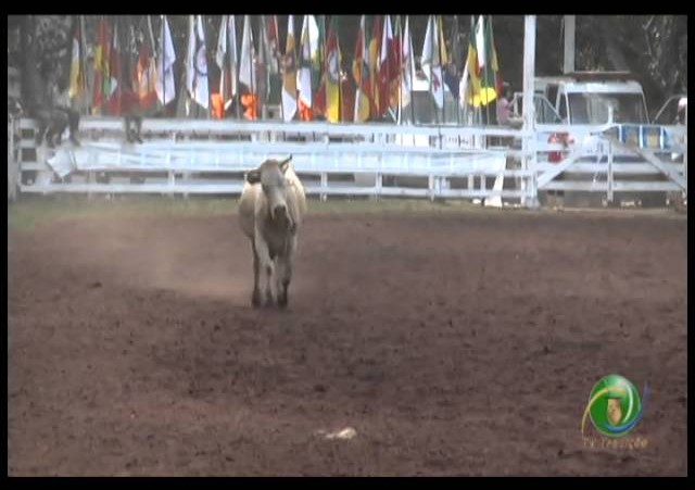 23ª Fecars »  Seleção Peão »  30ª RT  »  5ª volta