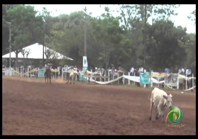 23ª Fecars »  Seleção Peão »  28ª RT  »  5ª volta