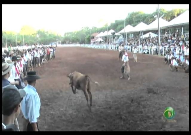 23ª Fecars »  Pealo Borcado  »  4ª RT