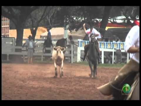 23ª Fecars »  Laço Vaqueano  »  9ª RT