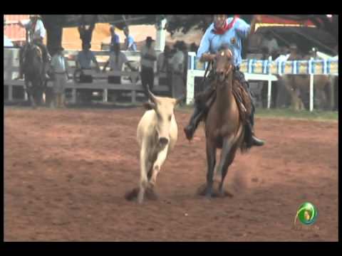 23ª Fecars »  Laço Veterano »  17ª RT