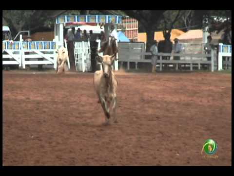 23ª Fecars »  Laço Patrão »  8ª RT