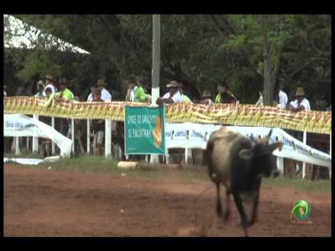 23ª Fecars »  Laço Capataz »  15ª RT