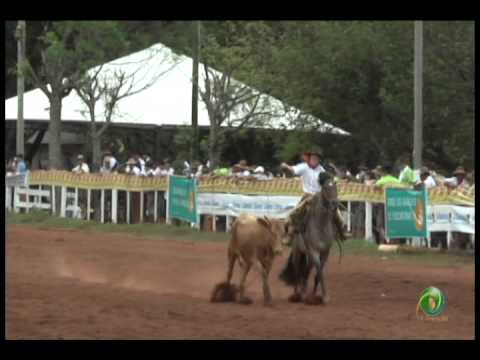 23ª Fecars »  Laço Piá »  12ª RT