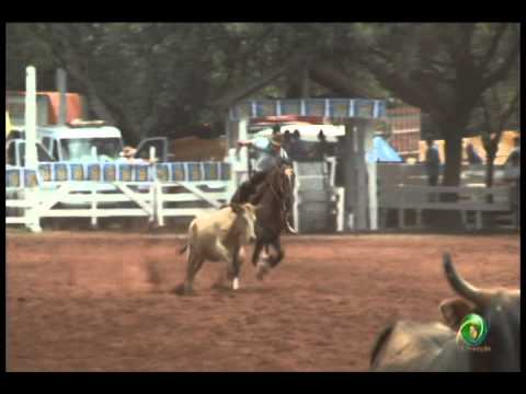 23ª Fecars »  Laço Dupla de Guri »  19ª RT