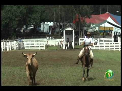 10º Rodeio Crioulo Nacional de NH  »  Laço Prenda