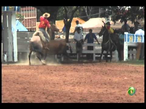 23ª Fecars »  Laço Dupla de Guri »  18ª RT