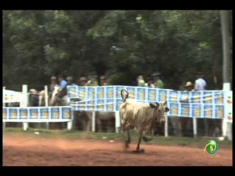 23ª Fecars »  Laço Dupla de Guri »  12ª RT