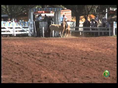 23ª Fecars »  Laço Dupla de Guri »  2ª RT