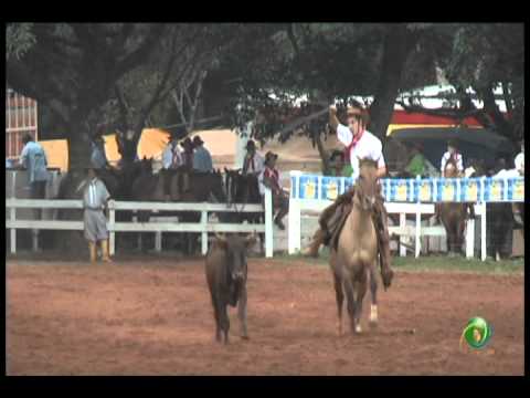 23ª Fecars »  Laço Dupla de Irmãos »  3ª RT