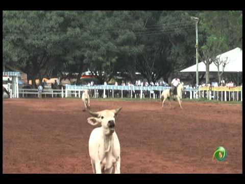 23ª Fecars »  Laço Dupla de Irmãos »  4ª RT