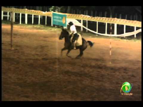 23ª Fecars »  Prova de Rédeas Peão »  14ª RT