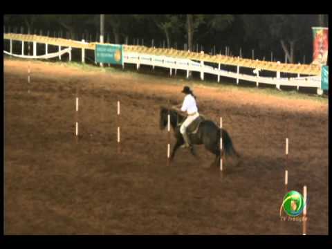 23ª Fecars »  Prova de Rédeas Prenda com idade de Peão »  1ª RT