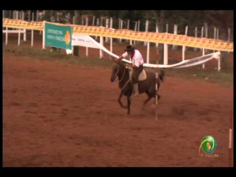 23ª Fecars »  Prova de Rédeas Guri »  4ª RT