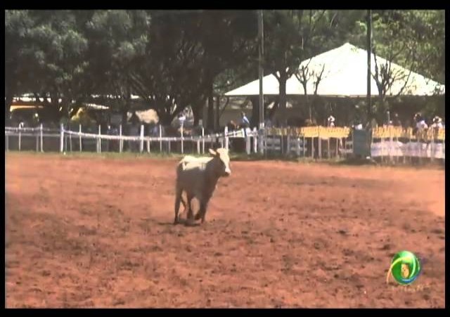 23ª Fecars »  Dupla Prenda  »  14ª RT