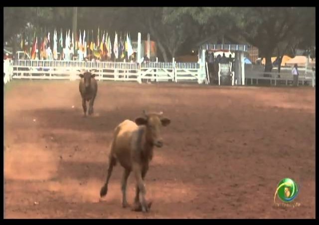 23ª Fecars »  Dupla Prenda  »  10ª RT