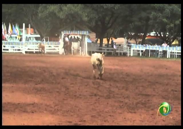 23ª Fecars »  Dupla Prenda  »  6ª RT