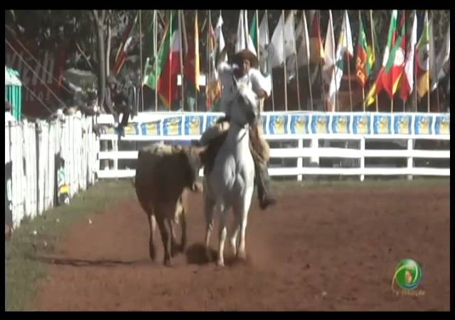 23ª Fecars »  Laço Vaqueano  »  14ª RT