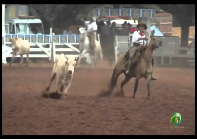 23ª Fecars »  Laço Vaqueano  »  13ª RT