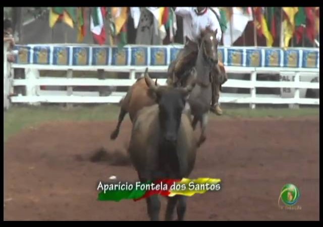 23ª Fecars »  Laço Vaqueano  »  10ª RT