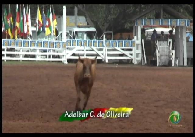 23ª Fecars »  Laço Vaqueano  »  8ª RT