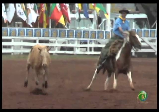 23ª Fecars »  Laço Vaqueano  »  5ª RT