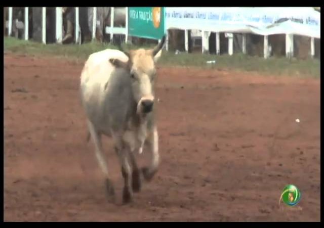 23ª Fecars »  Laço Vaqueano  »  4ª RT