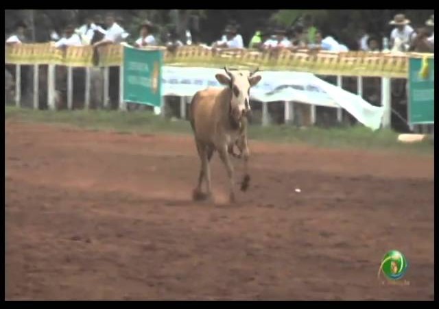 23ª Fecars »  Laço Vaqueano  »  1ª RT